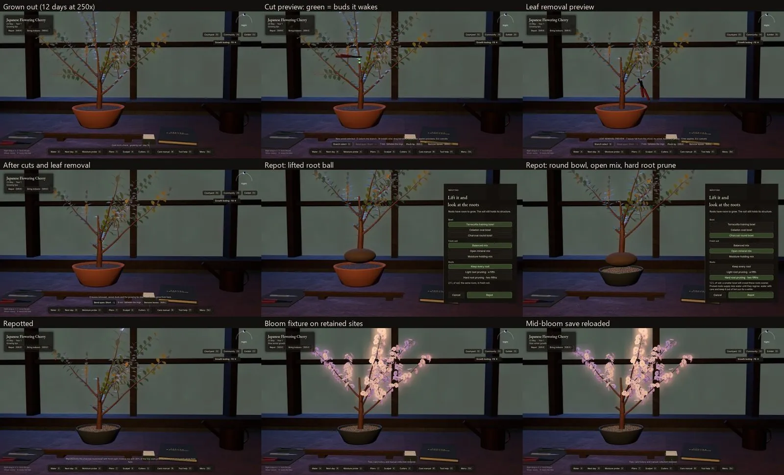 Nine frames of a cherry on the workbench: grown out, a cut preview, leaf removal, the lifted root ball, repot choices, repotted, the bloom and the bloom after reloading.