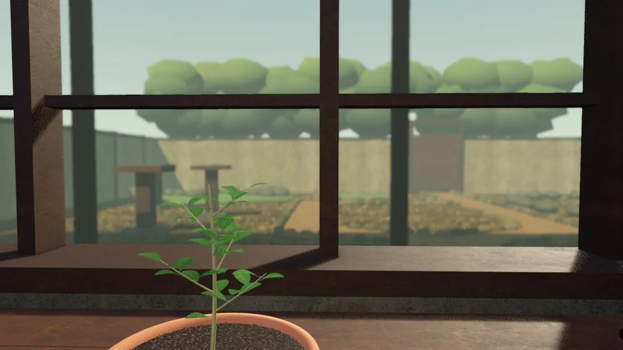 The camera close to the window, the bench tree at the bottom edge and the courtyard beyond the panes.