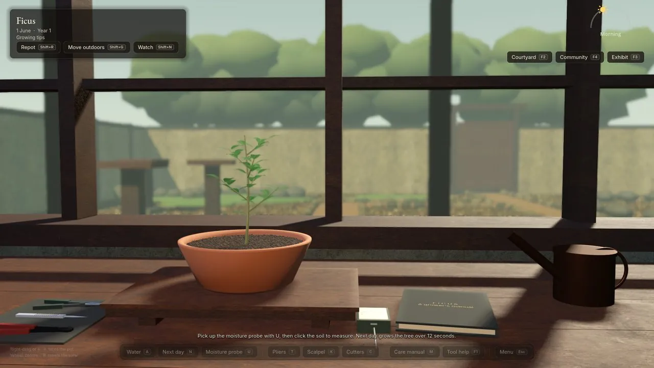 In-game capture from the development source, 8 October: the workbench with a young ficus, and through the clear lower panes of the window the real courtyard, its three empty stands on the left. The courtyard is drawn once from this eye and moved with the view.