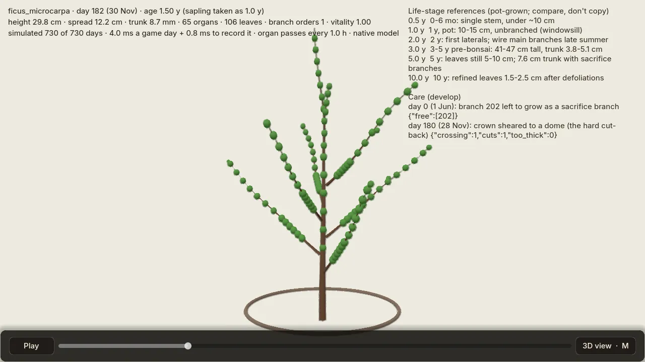 The slider at day 182: the ficus taller with more side shoots.
