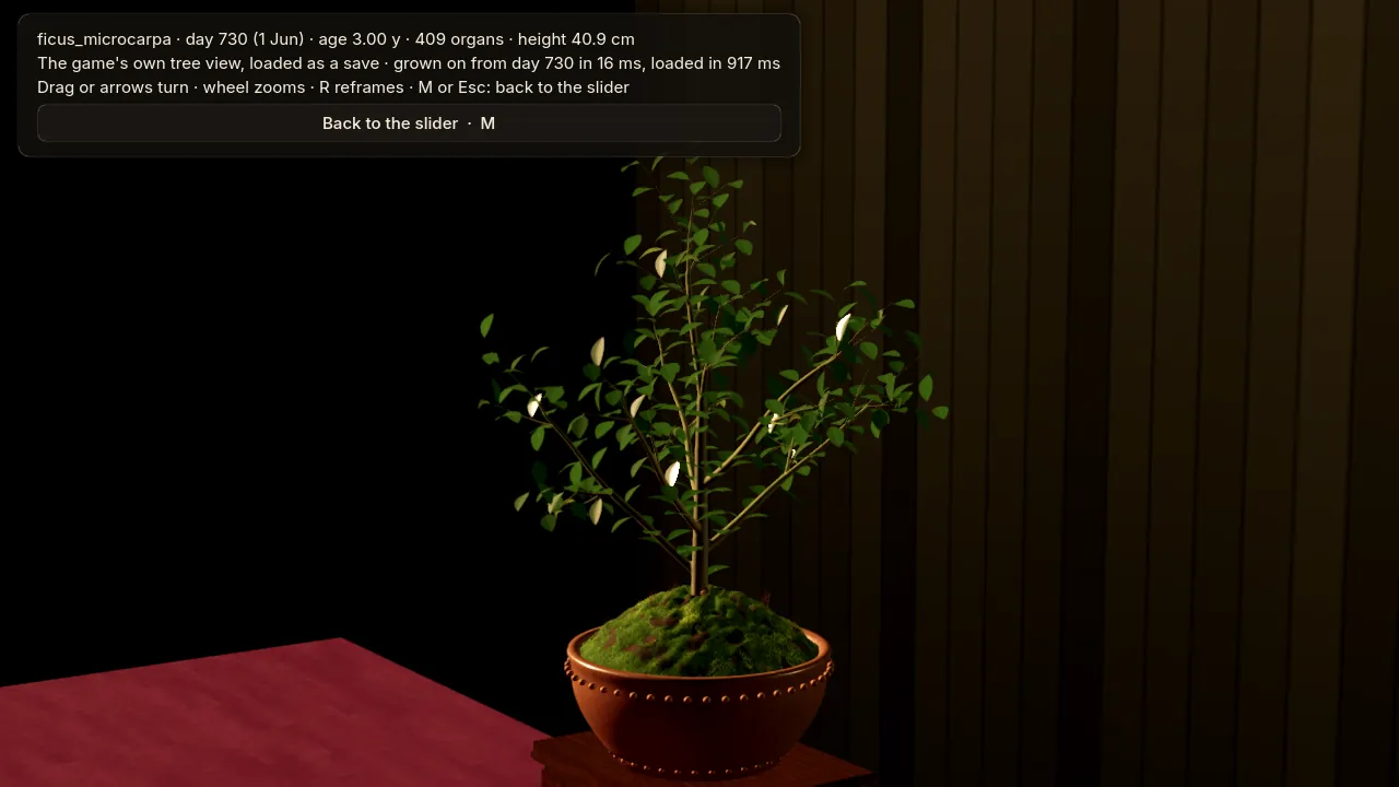 Development capture, 10 October: the slider stopped on its last day and shown by the game itself, a three-year-old ficus after two years of the develop routine (409 shoot segments, 40.9 cm). The bar at the top is the developer tool's.