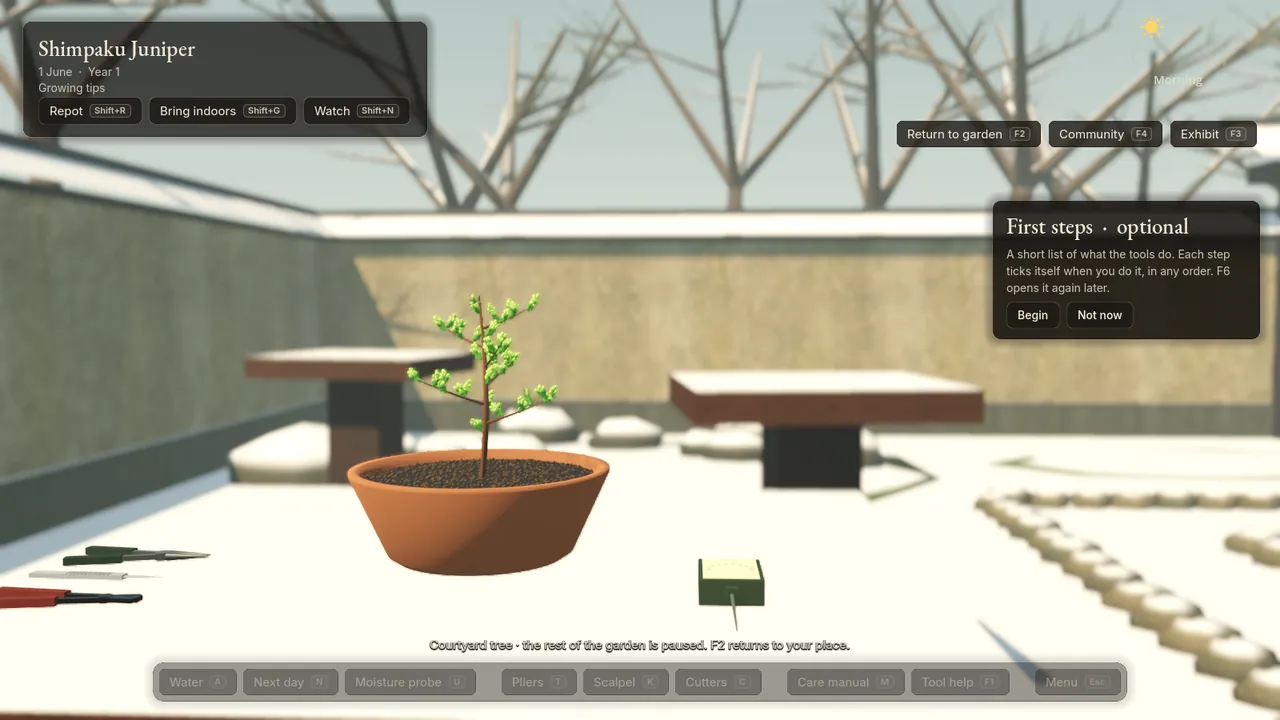 A juniper sapling in a terracotta bowl on its snowy pedestal, the snow a flat bright white.