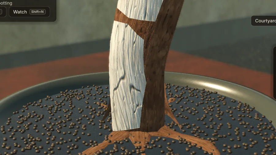 The same juniper, second round: flatter uneven roots, one forked, crisp deadwood fibres.