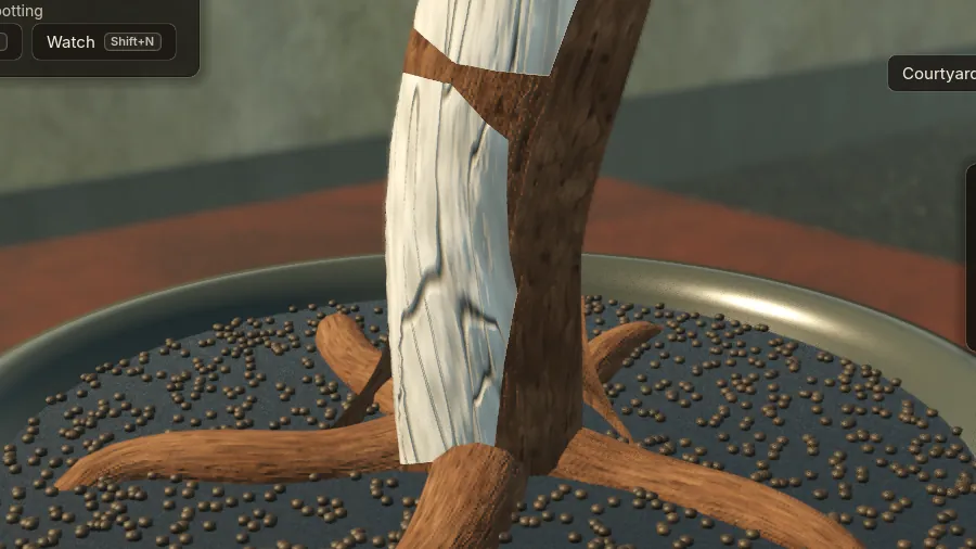 A grown juniper's base, first round: thick even roots radiating like arms, a blurred white deadwood strip.