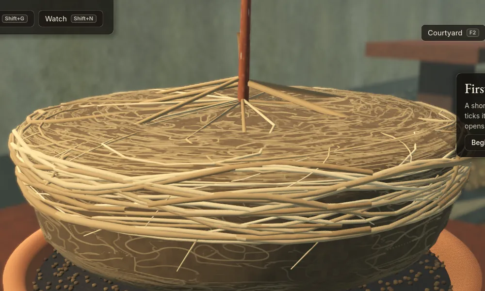 A pot-bound cherry's lifted root ball: the bowl's shape, wrapped in circling roots.