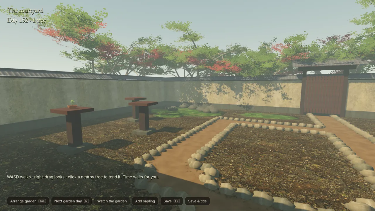 The courtyard in July with the rebuilt maples: full layered green crowns, two red-leaved trees, dappled shade on the walls.