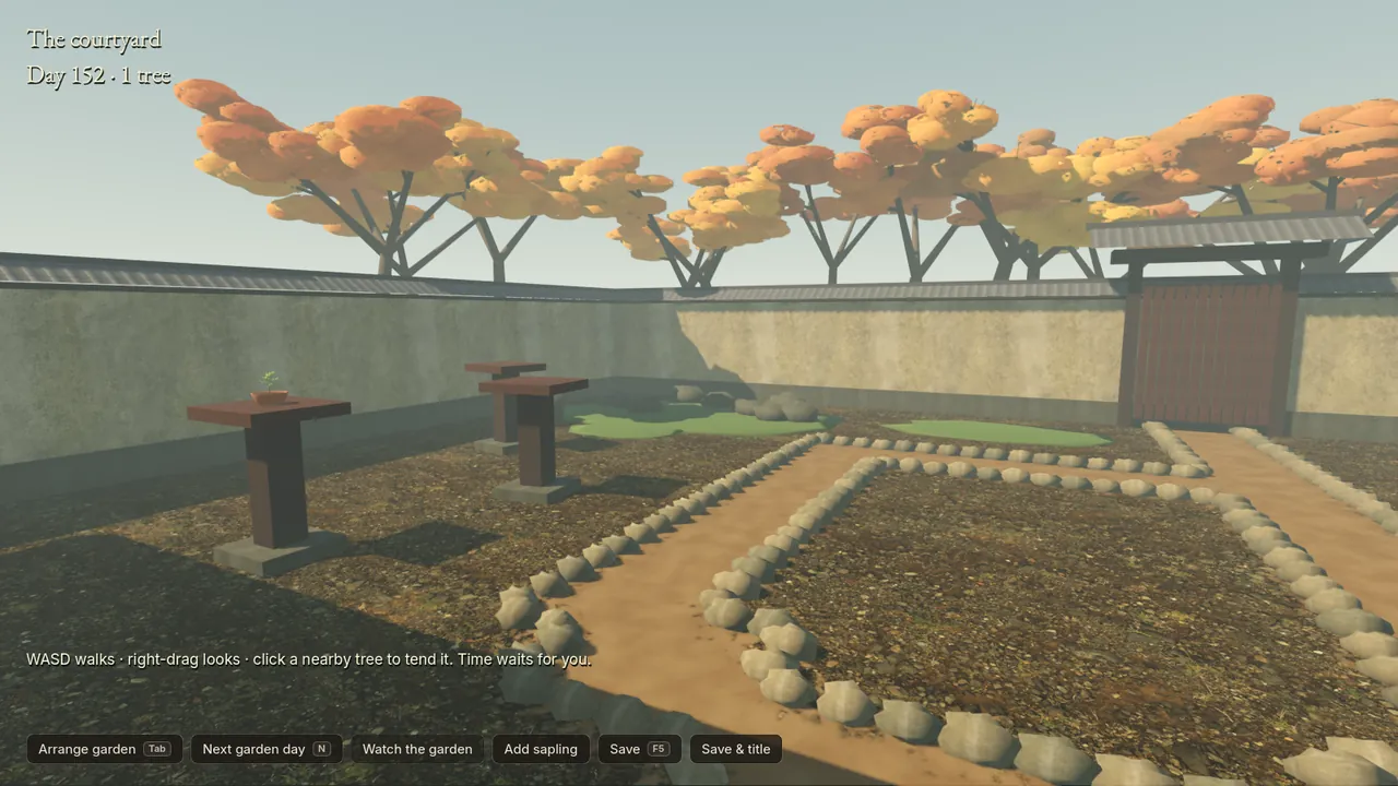 The courtyard in November with the first maples: solid orange balls on straight branches.