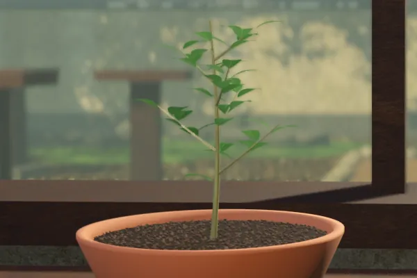 The same sapling, selected, with the new outline: it still stands out from the window behind it.
