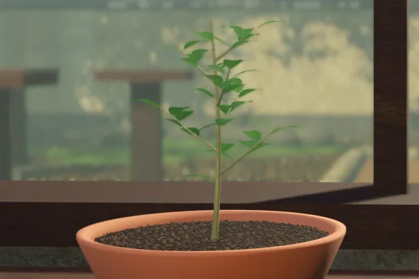 A ficus sapling at the bench's normal distance, selected, under the old highlight.