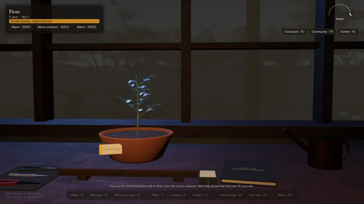 A ficus on the bench five days unwatered, an amber paper tag reading Growth slowing hanging from the bowl's rim, the plaque's condition line amber.