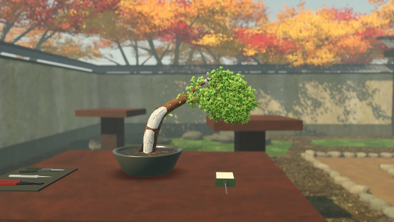 A grown juniper with white deadwood, tended outdoors on its pedestal in the temple courtyard in early November: Japanese maples in autumn colour above the wall, moss and a stone-edged path behind, the tools on a felt mat beside the bowl.